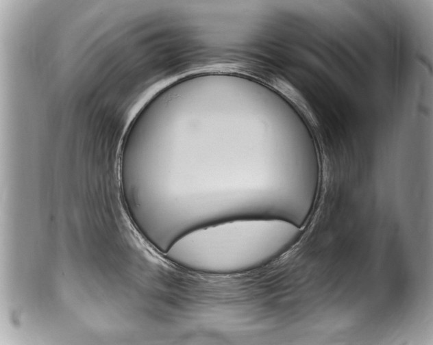 X0000100481436200806130722