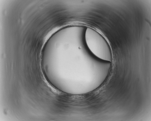 X0000100481437200806130722