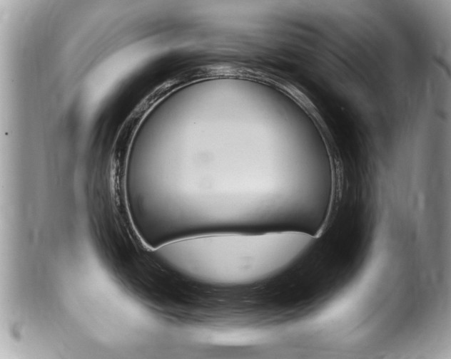 X0000100481438200806130722