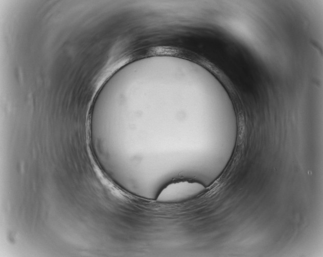 X0000100481439200806130722