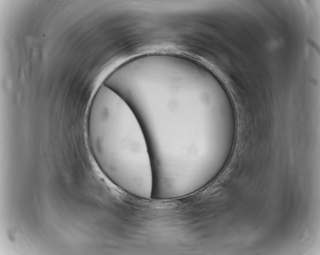X0000100481440200806130722