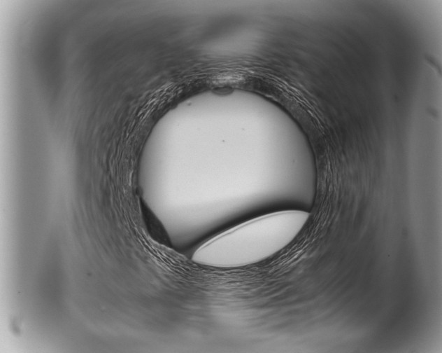 X0000100481441200806130722