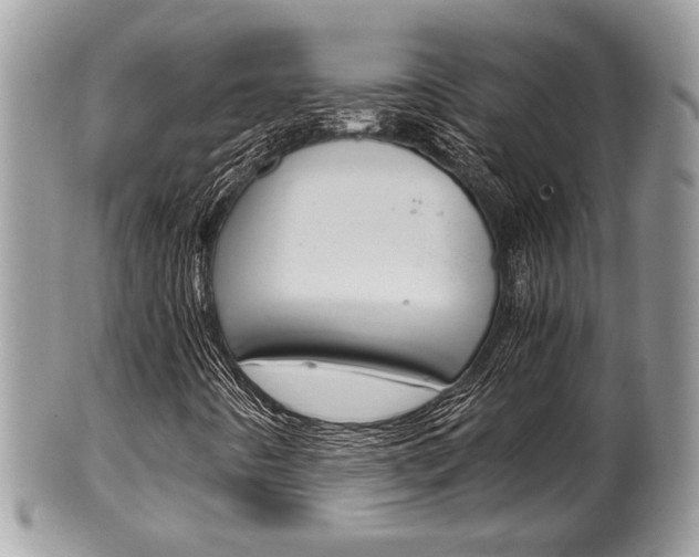 X0000100481442200806130722