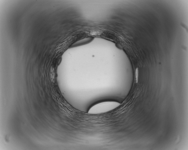 X0000100481443200806130722