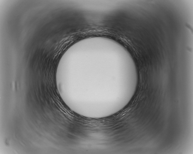 X0000100481444200806130722