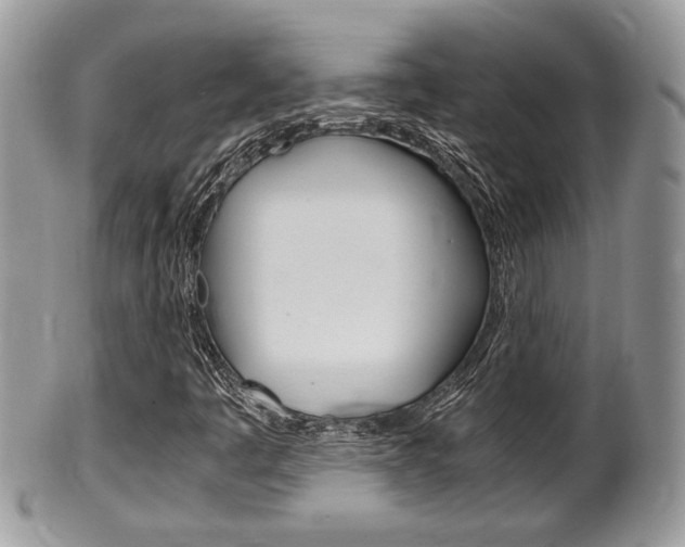 X0000100481445200806130722