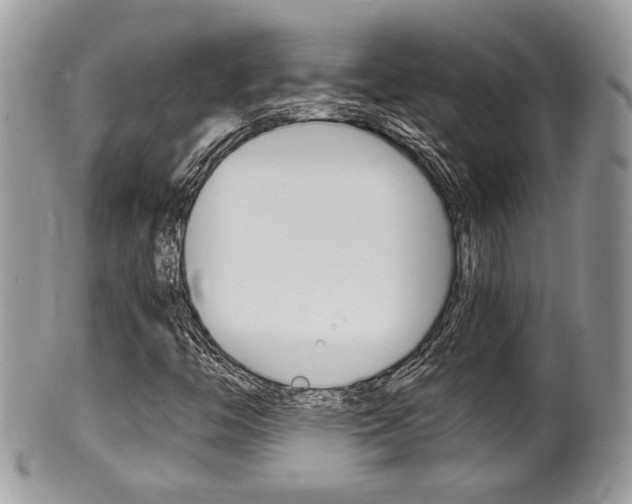 X0000100481446200806130722