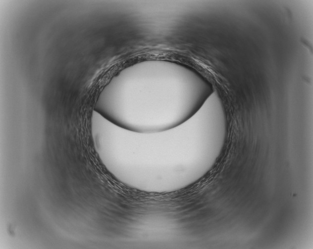 X0000100481447200806130722