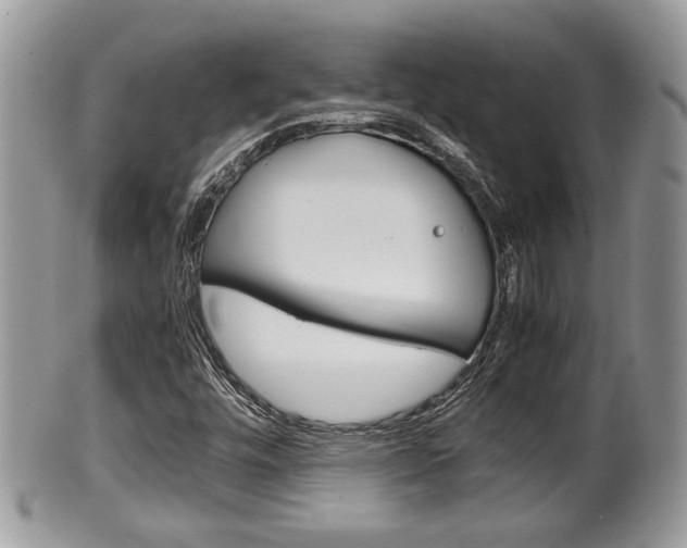 X0000100481448200806130722