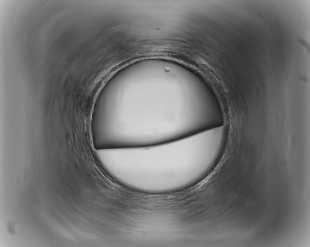 X0000100481449200806130722