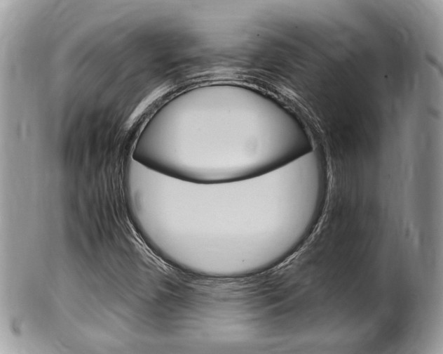 X0000100481450200806130722