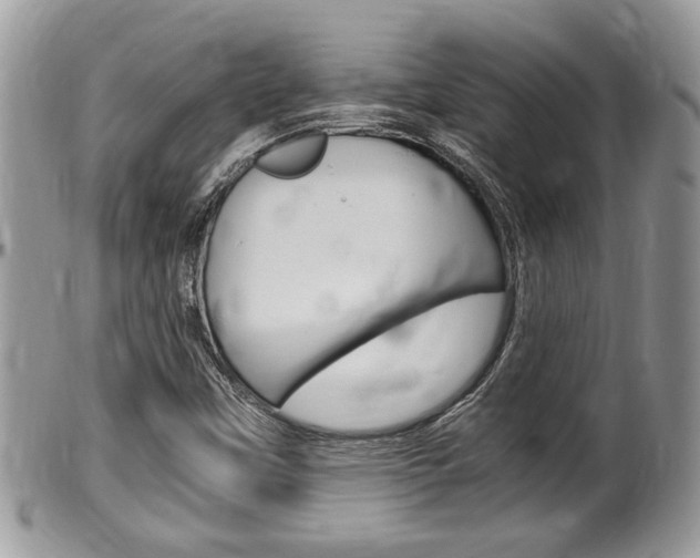 X0000100481451200806130721