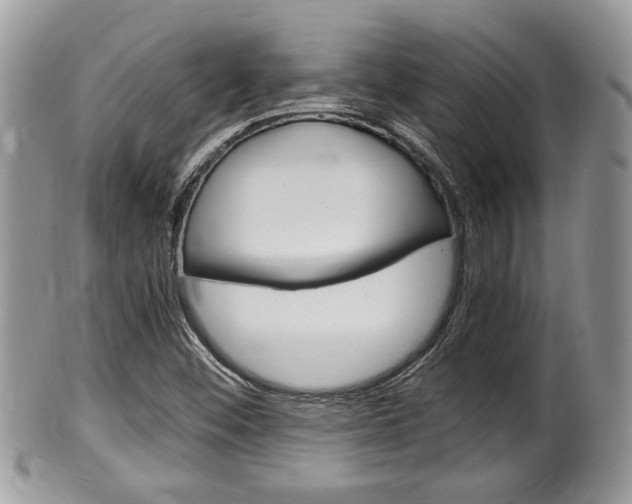 X0000100481452200806130721