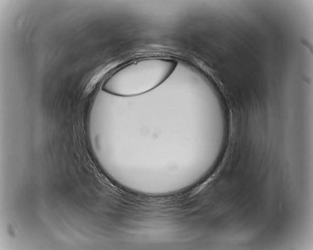 X0000100481453200806130721