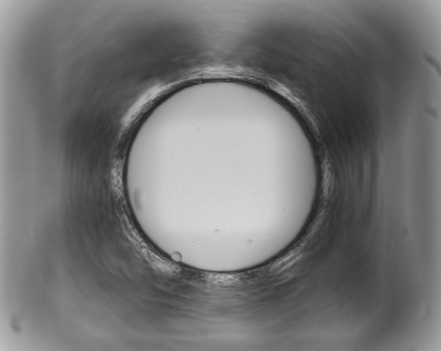 X0000100481454200806130721