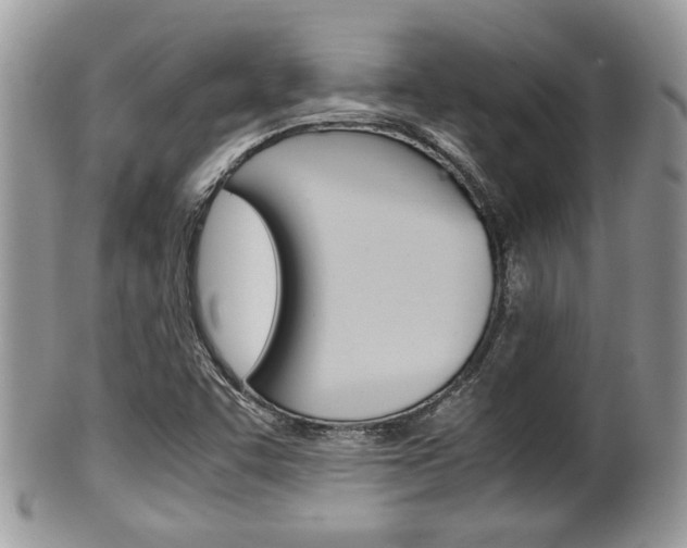 X0000100481455200806130721
