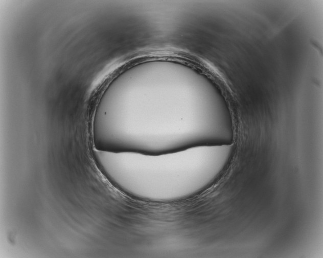 X0000100481456200806130721