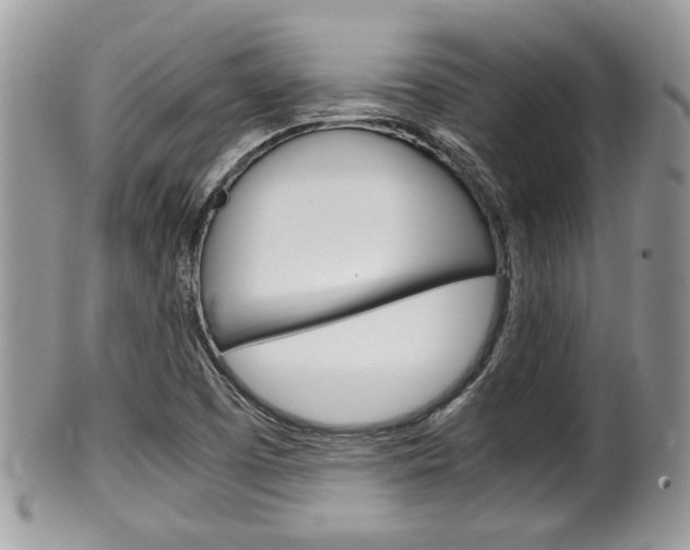 X0000100481457200806130721