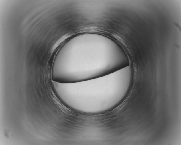 X0000100481458200806130721