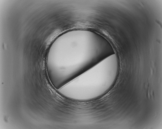 X0000100481459200806130721
