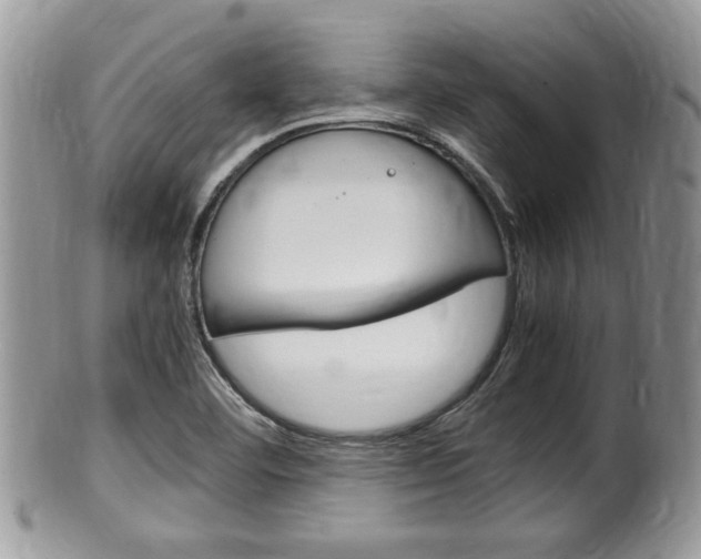 X0000100481460200806130721