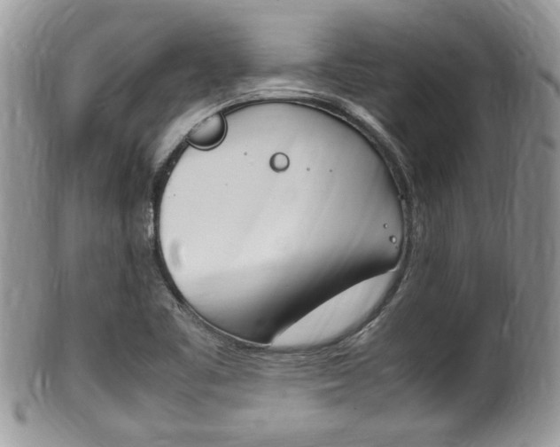 X0000100481461200806130721