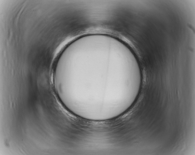 X0000100481462200806130721