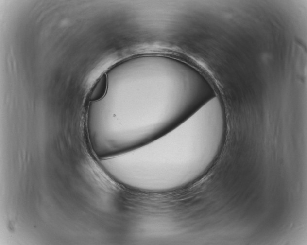 X0000100481463200806130721