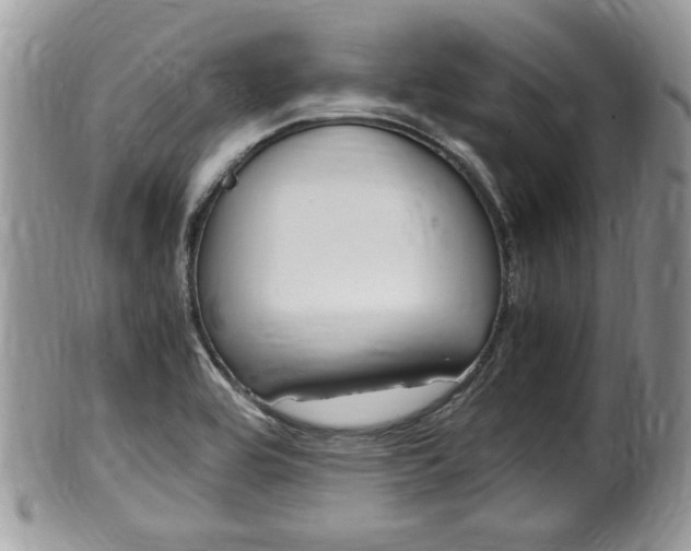 X0000100481464200806130721