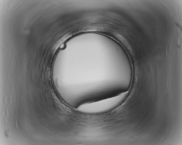 X0000100481465200806130721