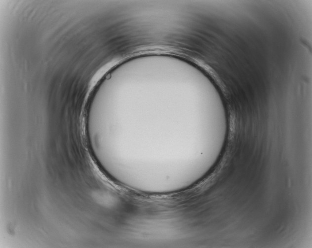X0000100481466200806130721