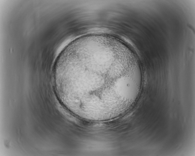 X0000100481467200806130721