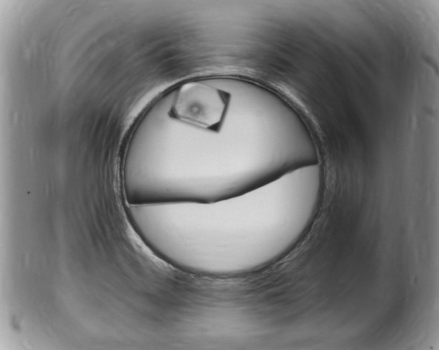 X0000100481468200806130721