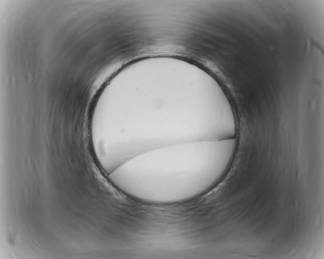 X0000100481469200806130721