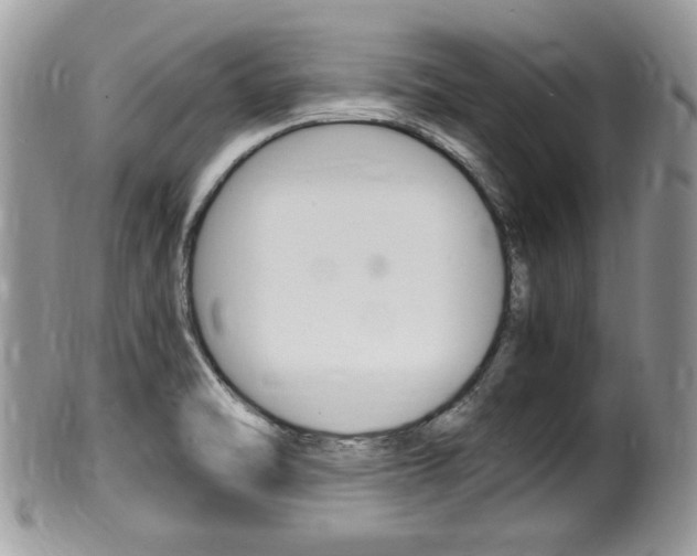 X0000100481470200806130721