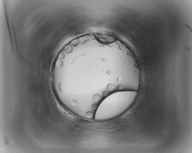 X0000100481471200806130721