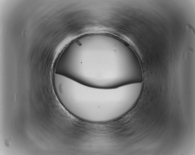 X0000100481472200806130721