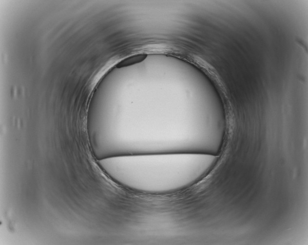 X0000100481473200806130721