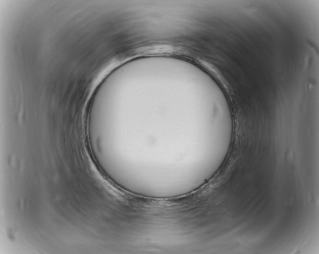 X0000100481475200806130721