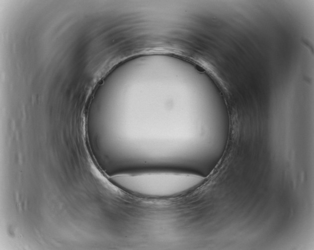 X0000100481476200806130721