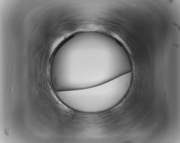 X0000100481477200806130721