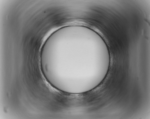 X0000100481478200806130721