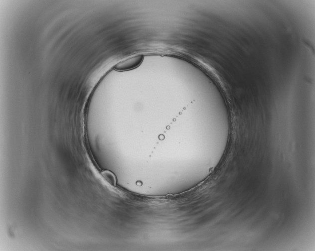 X0000100481479200806130721