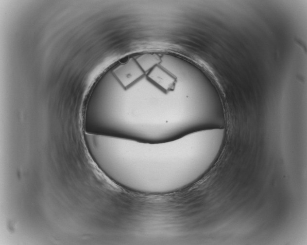 X0000100481480200806130721