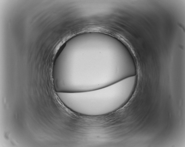 X0000100481481200806130721