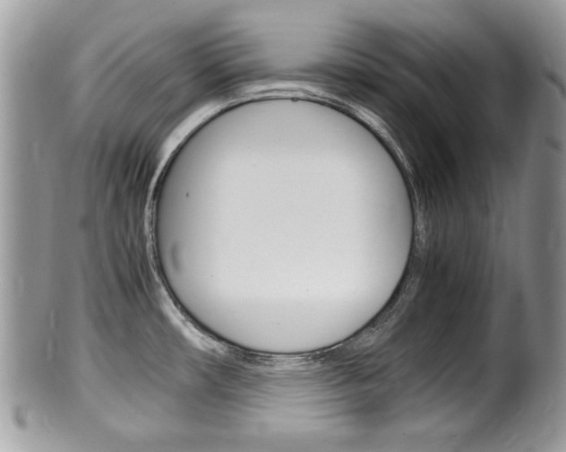 X0000100481482200806130721