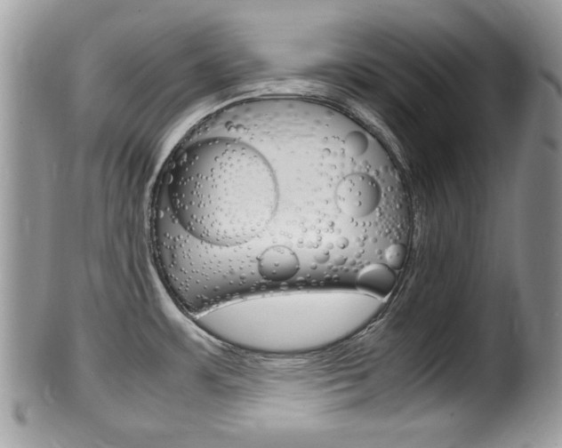 X0000100481483200806130721