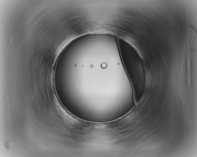X0000100481484200806130721