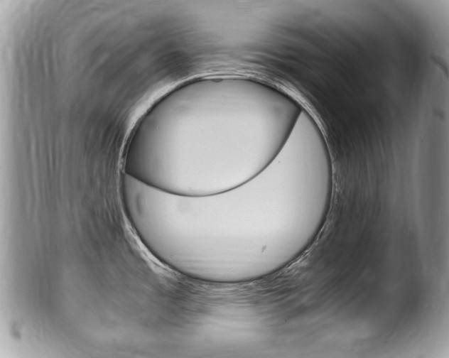 X0000100481485200806130721