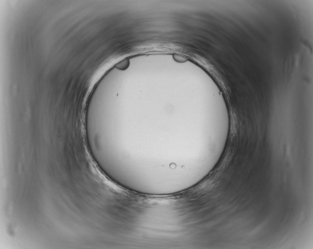 X0000100481486200806130721